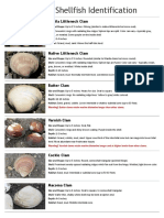 Identification Guide Bivalve Shellfish