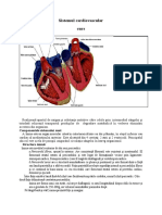 Anatomia Inimi