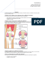 Rodilla Del Saltador (Para Adolecentes)