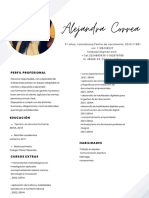 Curriculum Mujer Profesional Moderno Original y Sencillo