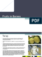 Fruits in Borneo1