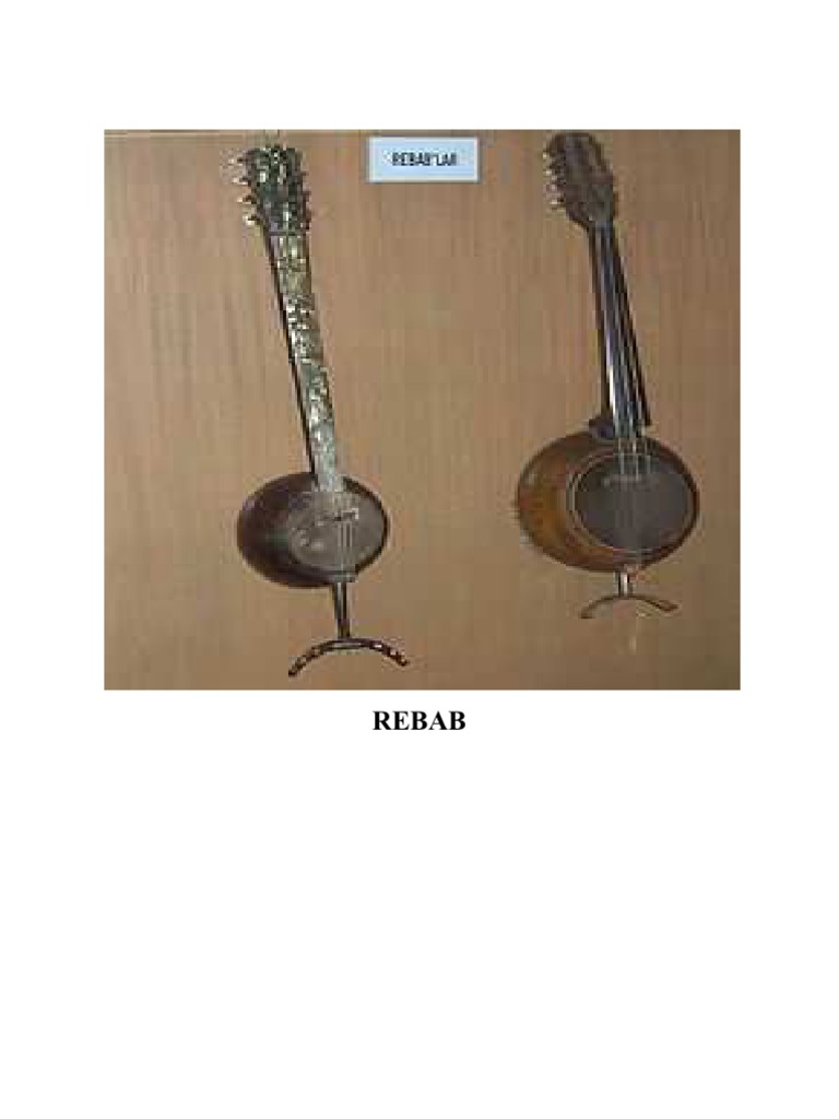Indian Traditional String Instruments | PDF | Chordophones | Musical ...