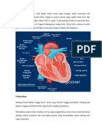 Anatomi Jantung