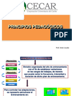 PRINCIPIOS PEDAGÓGICOS (1)