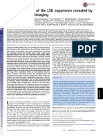 Neural Correlates of The LSD Experience Revealed by Multimodal Neuroimaging