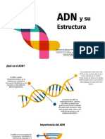 ADN y Su Estructura