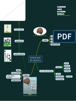 Estructuras del cerebro y sus funciones principales