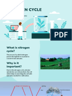 Nitrogen Cycle