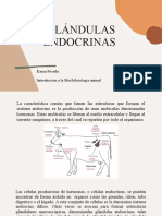 Presentación 4 - Glándulas Endocrinas