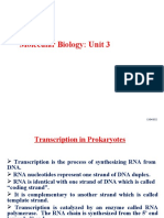 Molecular Biology: Unit 3