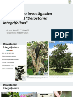 Protocolo de Investigación Silvicultural "Delostoma Integrifolium"