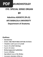 Special Sense Eye Histology