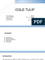 Google Tulip: Presenting by Guide