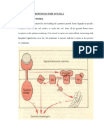 Effect of Growth Factors On Cells
