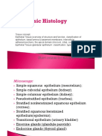 Epithelial Tissue Classification and Structure