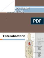 YERSINIA