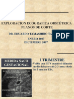 Planos de Corte Obstetrico