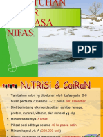 Kebutuhan Dasar Ibu Masa Nifas