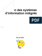 Gestion Des Systèmes D'information Intégrés 2018