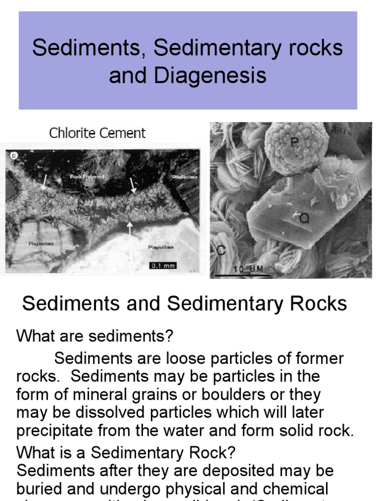 Diagenesis in Sedimentary Rocks | PDF | Sedimentary Rock | Clastic Rock