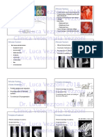 Luca Vezzoni Lecture 3 Articular Fractures Treatment Principles