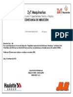 Constancia Induccion Jlg Jm