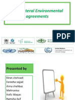 What Are Multilateral Environmental Agreements