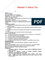 12 Proiect Didactic Avap