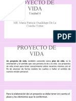 Proyecto de Vida Unida 4