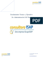 Consultora ISAP Escalamiento SAP Basis
