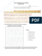 Taller Reproduccion 2do Periodo