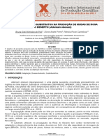 Melhor substrato para produção de mudas de Rosa do Deserto