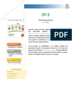 FT-DP-3 Prueba Psicológica