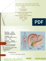 Pancrea Anatomia