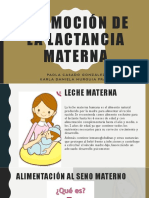 Promoción de La Lactancia Materna (Conceptualizacion)