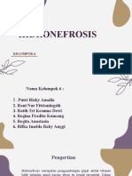 Ppt Hidronefrosis