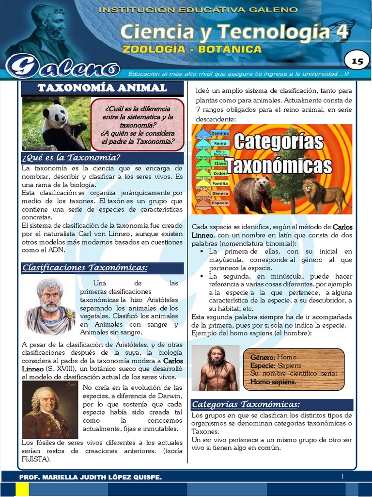 Taxonomia Animal 4 Grado Semana 15 | PDF | Organismos | Eucariotas