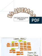 ESQUEMAS PROCESAL PENAL