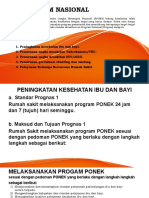 Program Nasional