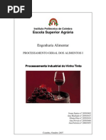 Processamento_Industrial_Vinho_Tinto_PGA_07_08 Página 7