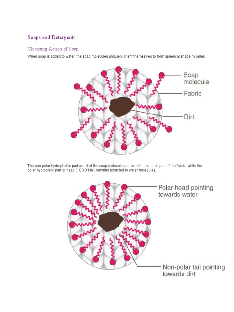 Soaps and Detergents Cleansing Action of Soap PDF Chemical Bond