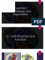 Cell Biology and Organisation