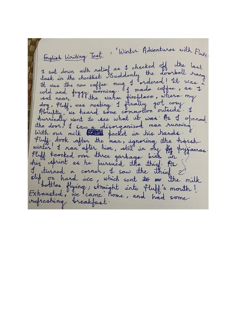 English Writing Test | PDF