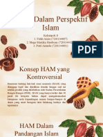 PPT KEL.8 HAM DALAM PERSPEKTIF ISLAM