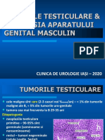 Tumorile Testiculare Patologia Org Genit Ext 2