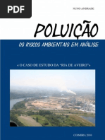 Seminario Final - Poluição, os riscos ambientais em analise