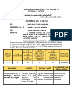 INFORME DE SISTEMATIZACIÓN-Noila-Inglés X