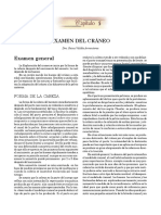 05 - Examen Del Cráneo