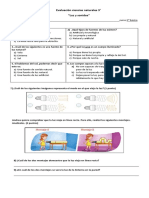 Evaluación Ciencias Naturales 3 Luz y Sonido