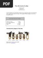 Download Honey Bee Life Cycle in Pictures by Ry DeVroop SN57455330 doc pdf
